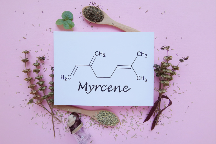 Myrcene 1