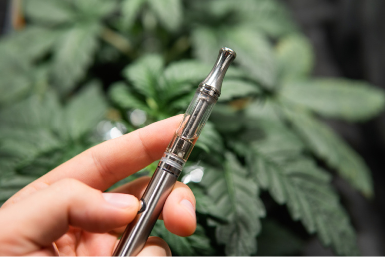 Hand holding Cannabis Vape Pen in front of marijuana plant