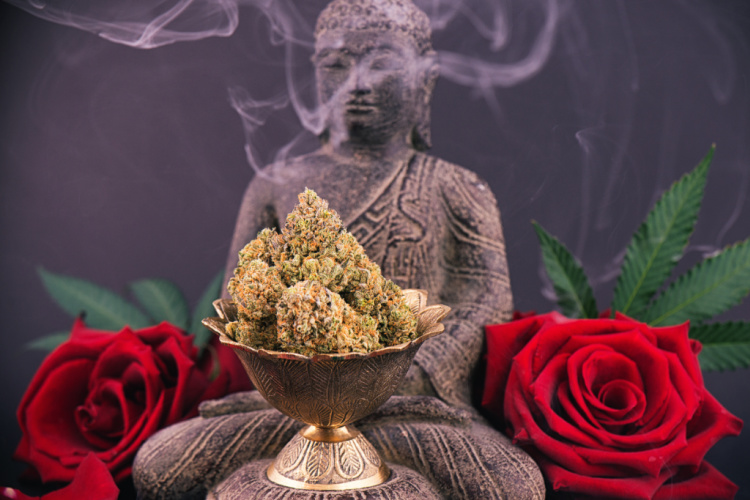 Cannabis and meditation 1