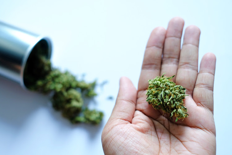 Low THC cannabis 1