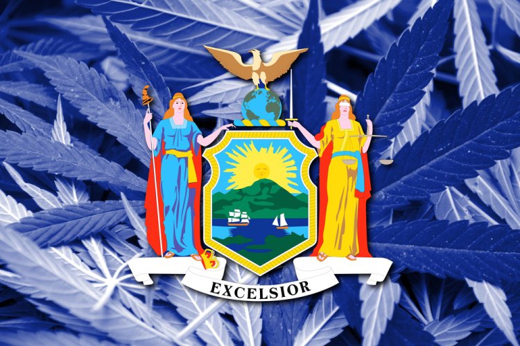 History of Legalization: New York
