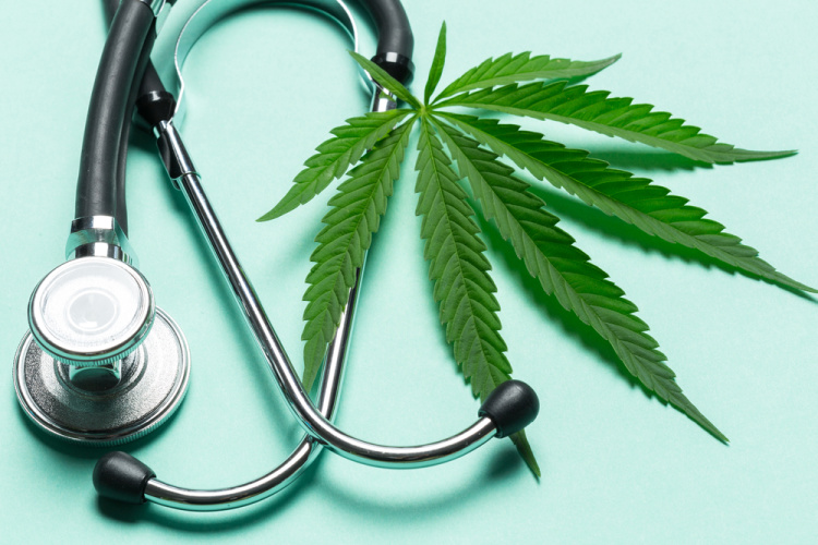 Employee Medical Cannabis Use Rights 2