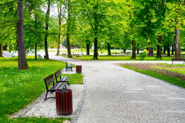 Green Goods Dispensary s Top Things To Do In Woodbury MN