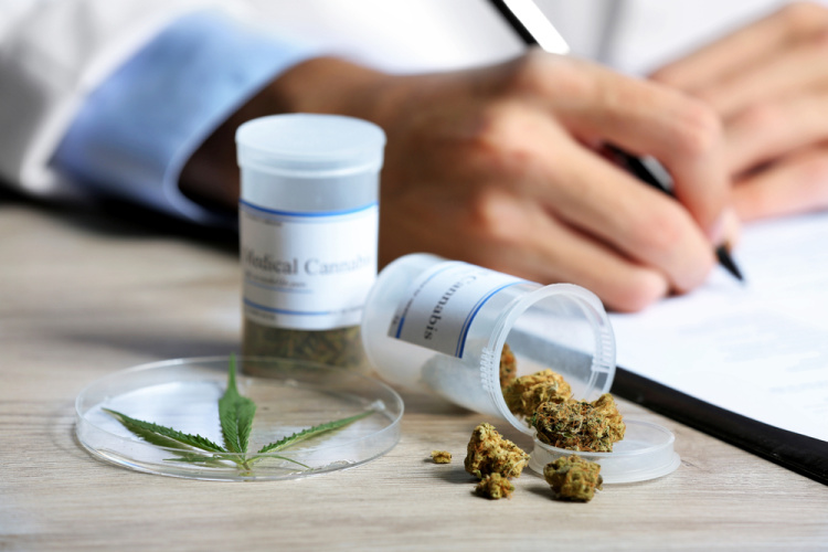 Employee Medical Cannabis Use 1