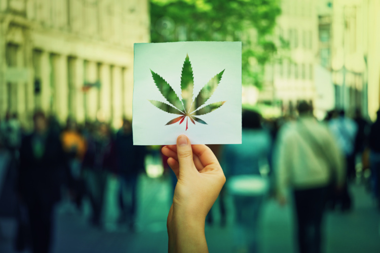 social equity in the cannabis industry
