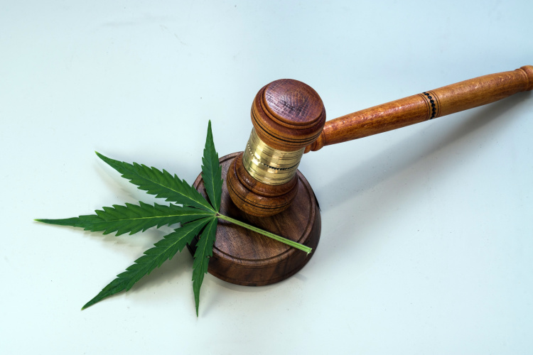 Legalization cannabis