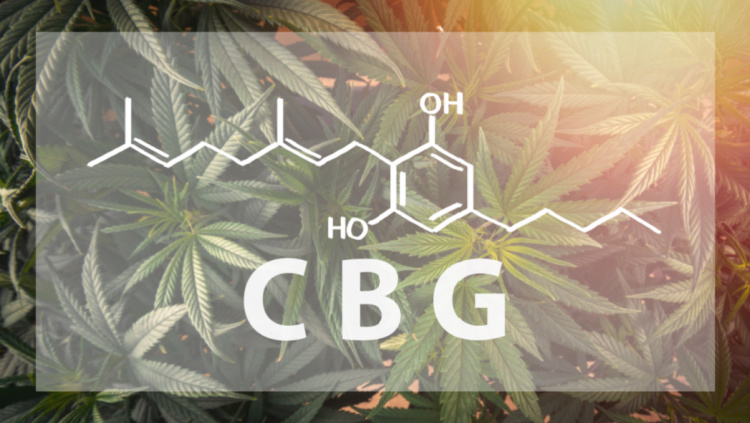cbg dynamic medical cannabinoid