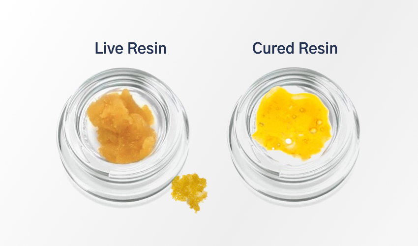 Cured Resin vs Live Resin: Two Extract Styles | Green Goods