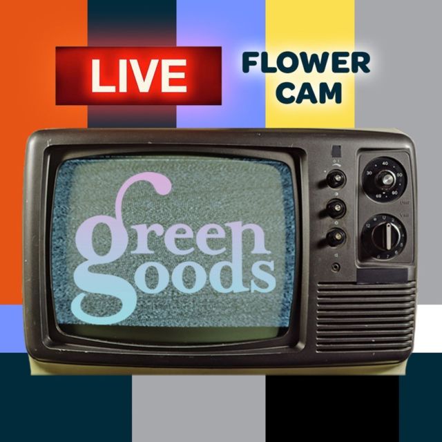 Something new is growing at Green Goods - and you can watch it live on our website!