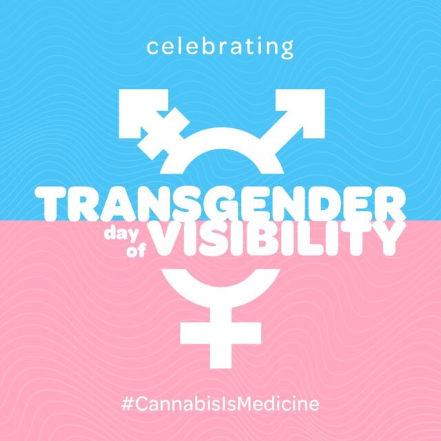 In 2010, trans advocate Rachel Crandall started International Transgender Day of Visibility after noticing that the overwhelming majority of media coverage about transgender people focused on violence against them. She envisioned a day that would instead celebrate their joy and resilience in the face of continued discrimination. We now celebrate this day every year on March 31. You can read stories from several transgender people in their own words on @humanrightscampaign's page.